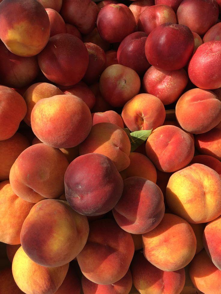 Grove Treasures: Nature's Sweetest Harvest